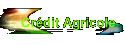  NOZZIO / Affaire BOQUET Xavier - Chèque impayé sur Crédit agricole